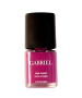 Gabriel Devotion Nail Polish Bird of Pardise - Front view