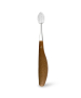 Radius Source Toothbrush, Wood