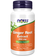 NOW Foods Ginger Root Extract 250 mg - 90 Veg Capsules