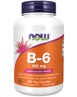 NOW Foods Vitamin B-6 100 mg - 250 Veg Capsules