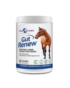 Vital Planet Equine Gut Renew Powder - Front view