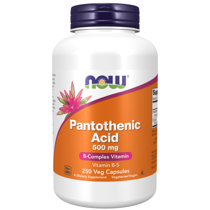 NOW Foods Pantothenic Acid 500 mg - 250 Veg Capsules