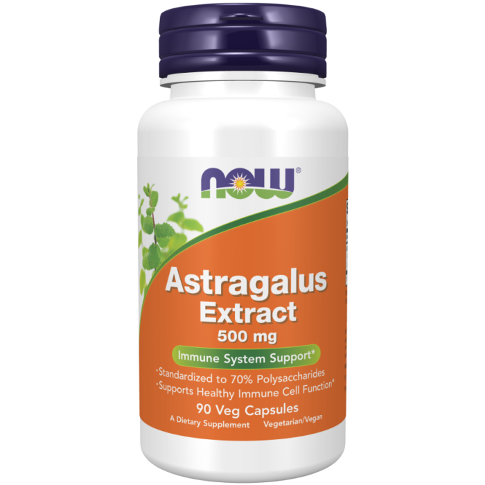 NOW Foods Astragalus Extract 500 mg - 90 Veg Capsules